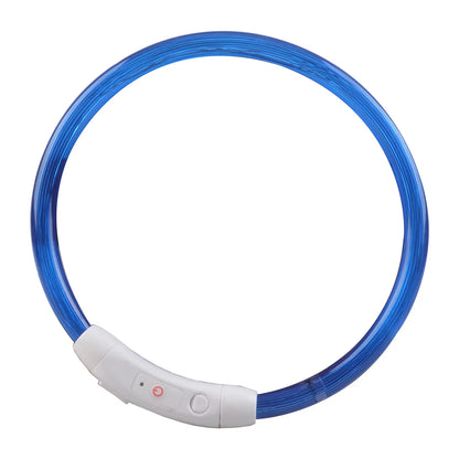 led dog collar blue ring shape with USB charging module