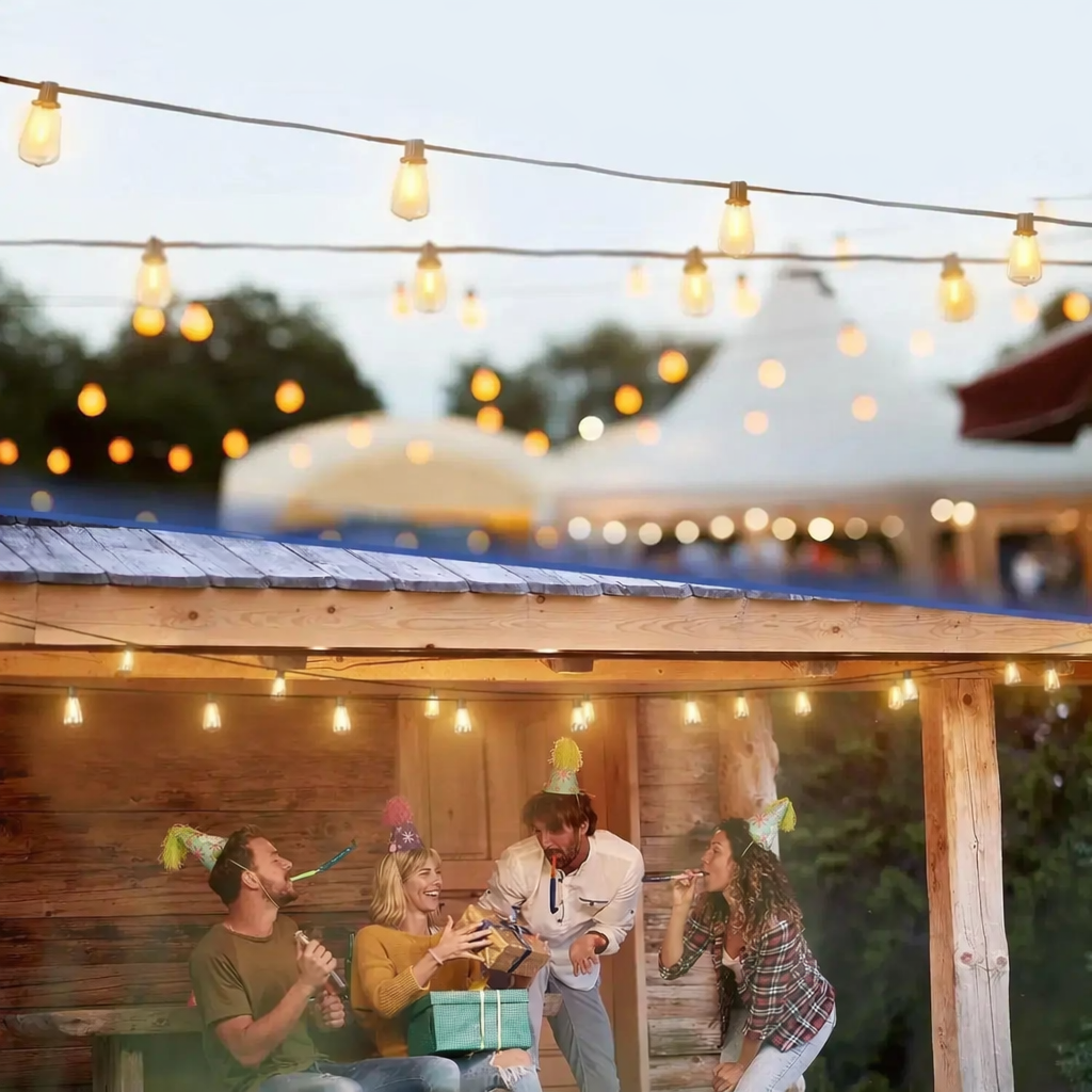 edison bulb string lights decorating outdoor birthday party